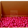Golden Sweets Easter Eggs Pure 5 Kg
